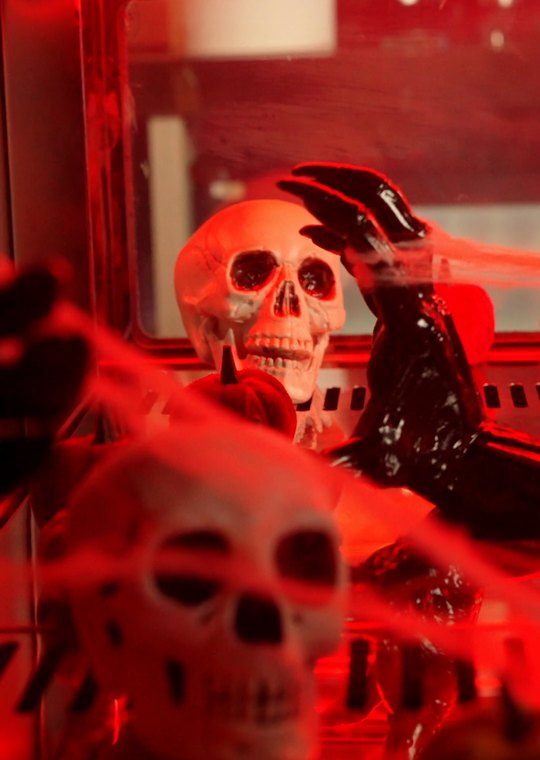 Skulls and cobwebs lit red at Vesna for Halloween
